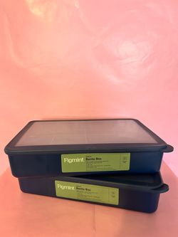 Figmint Snack Bento Box – Set of 2