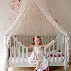Lace Chiffon Princess Canopy