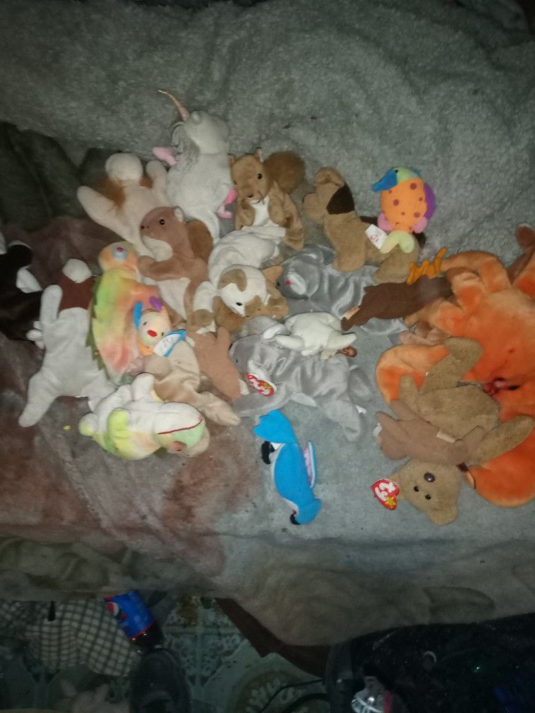 24 Beanie Babies Mostly Without Tags