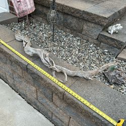 Driftwood