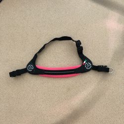 Treponti Dog Collar (small Dog ) 