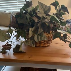 Artificial Plant