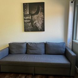 IKEA FRIHETEN sleeper Sofa Bed Sectional 