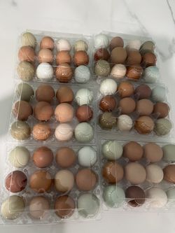 Eggs