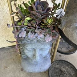 Large Succulent Planter