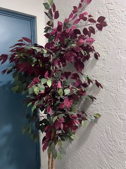 Large Artificial Ficus Tree Burgundy Green