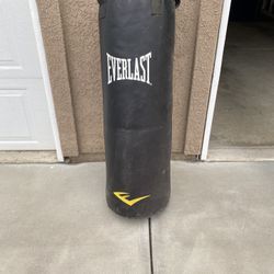 Everlast Weight Bag