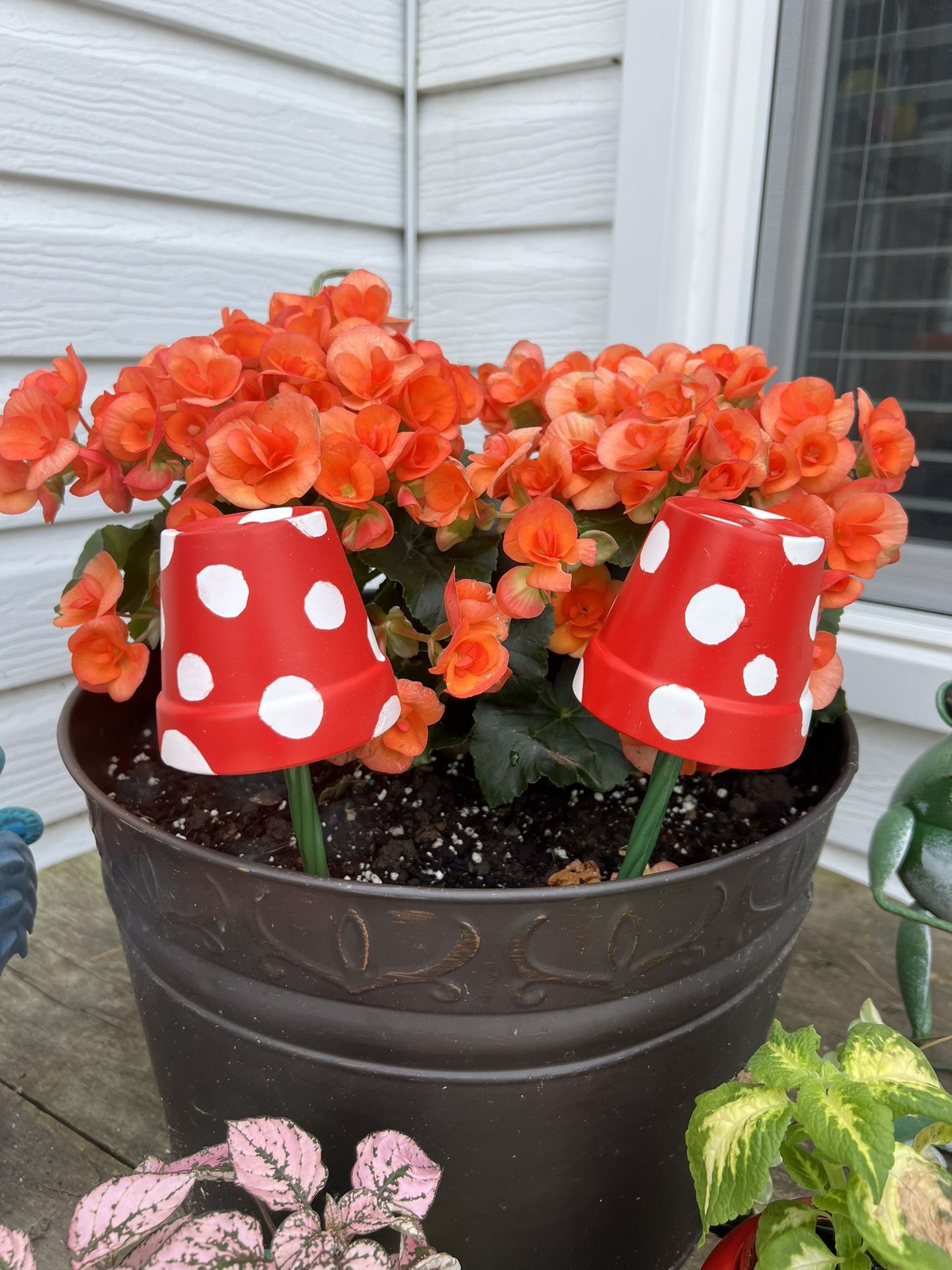 Terra Cotta Pots Mushroom Decor Indoor Outdoor Plants
