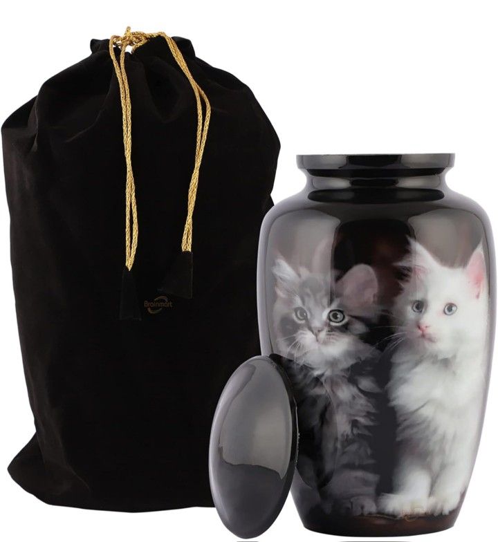 Urn (Graphic Cat Portait)