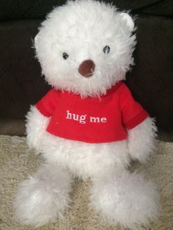 Super Sweet, Soft Hallmark Talking Hug Me Bear