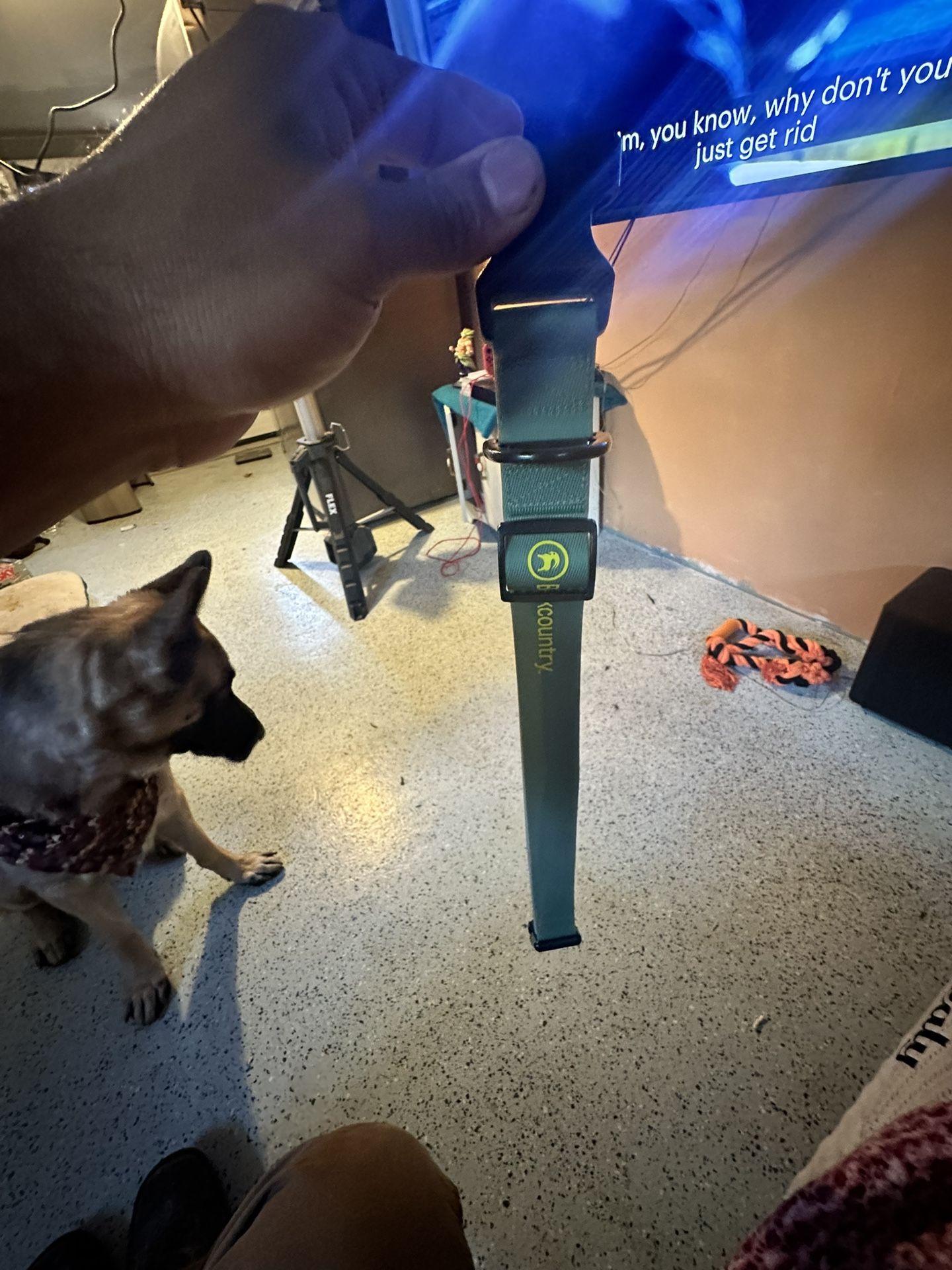 Backcountry X Petco Collar