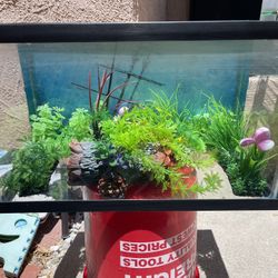 Fish Tank With Accessories 