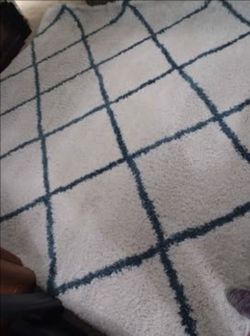 Safavieh Hudson rug