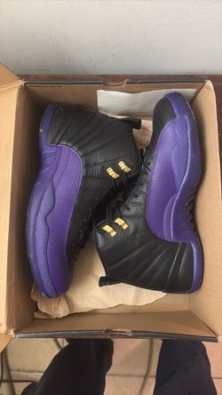Air Jordan 12 retro