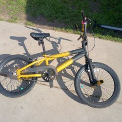 18-in Bike