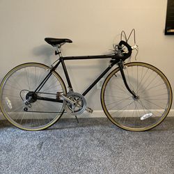 Steel Frame Bicycle 