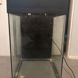 10 gallon tall topfin aquarium