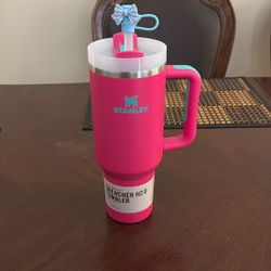 pink and teal stanley
