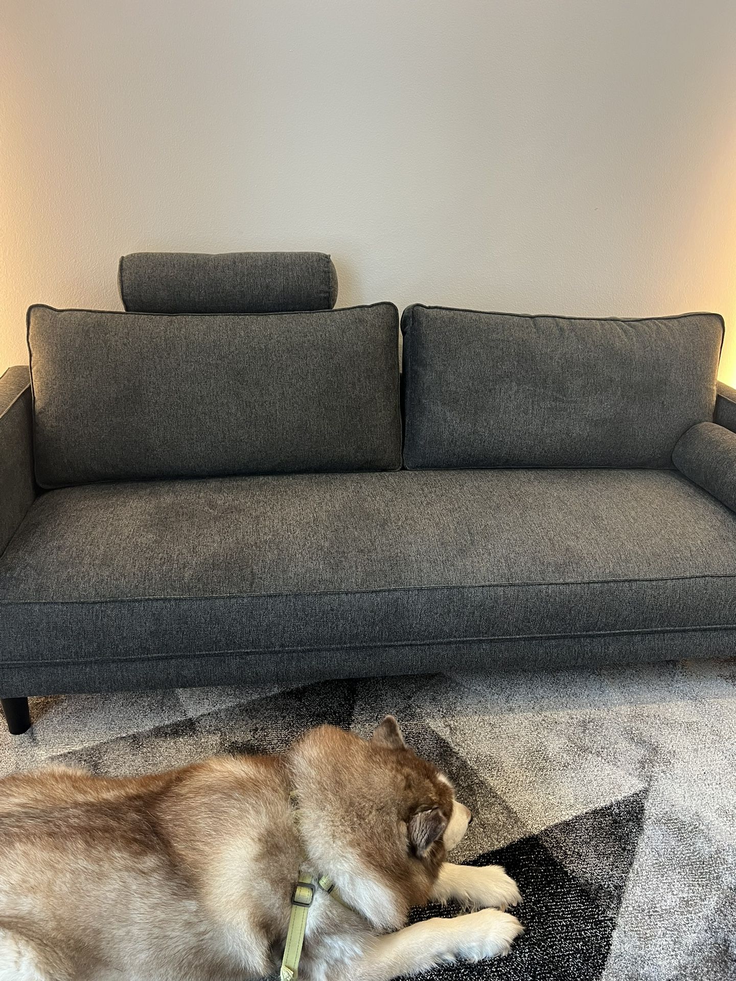 Brand New AllModern Couch 