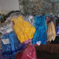 Disney Princess Dresses / Halloween Costumes