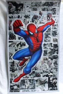Brand New Spider-Man wall art