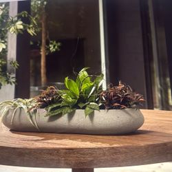 West Elm Indoor/outdoor Planter 