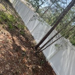 Fence 