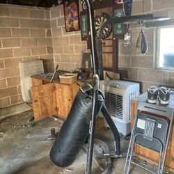 Everest Punching Bag w/ Speed Bag