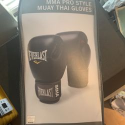 Everlast Boxing/Muay Thai Gloves