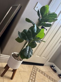Artificial Fiddle Leaf Fig Tree with White Planter & Wood Stand
