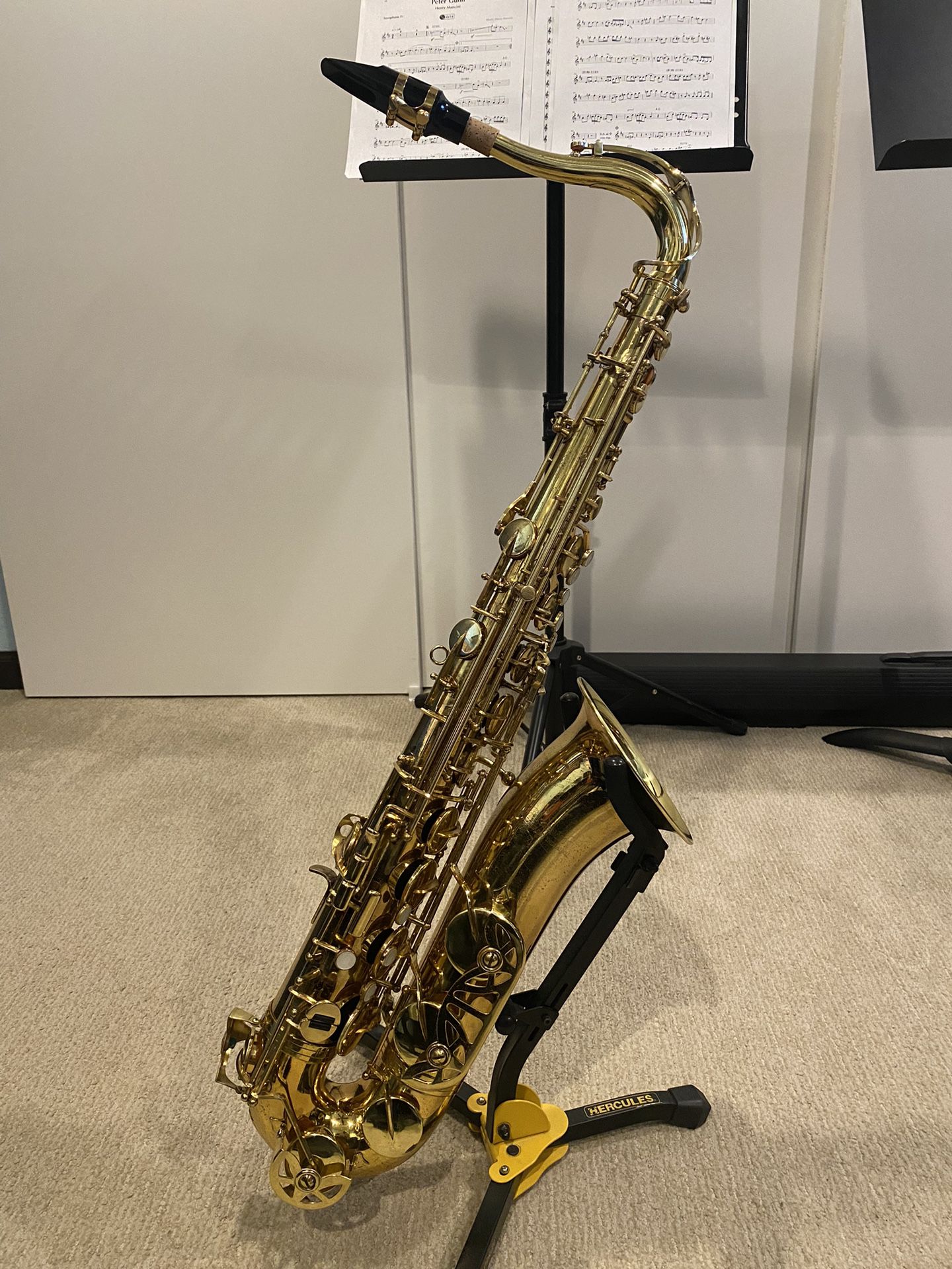 Tenor Saxophone Blessing, Just Serviced