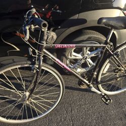 Specialized  Old  Road Bike 