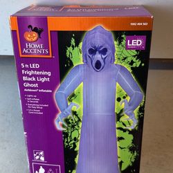 Halloween  Decorations! $20 Each