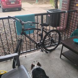 Bike - Shimano "Glendale" Fitness Series 