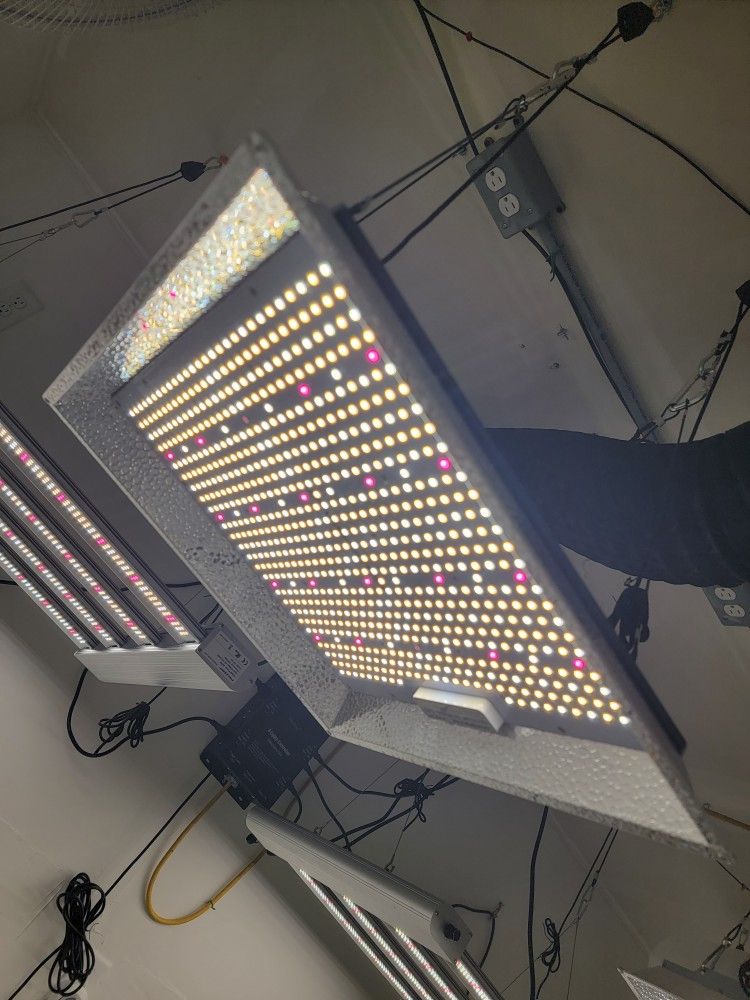 LED Grow Light