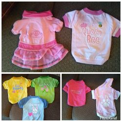 Size Small, Doggie Princess dress & Queen Bee shirt $12.00 for the set.