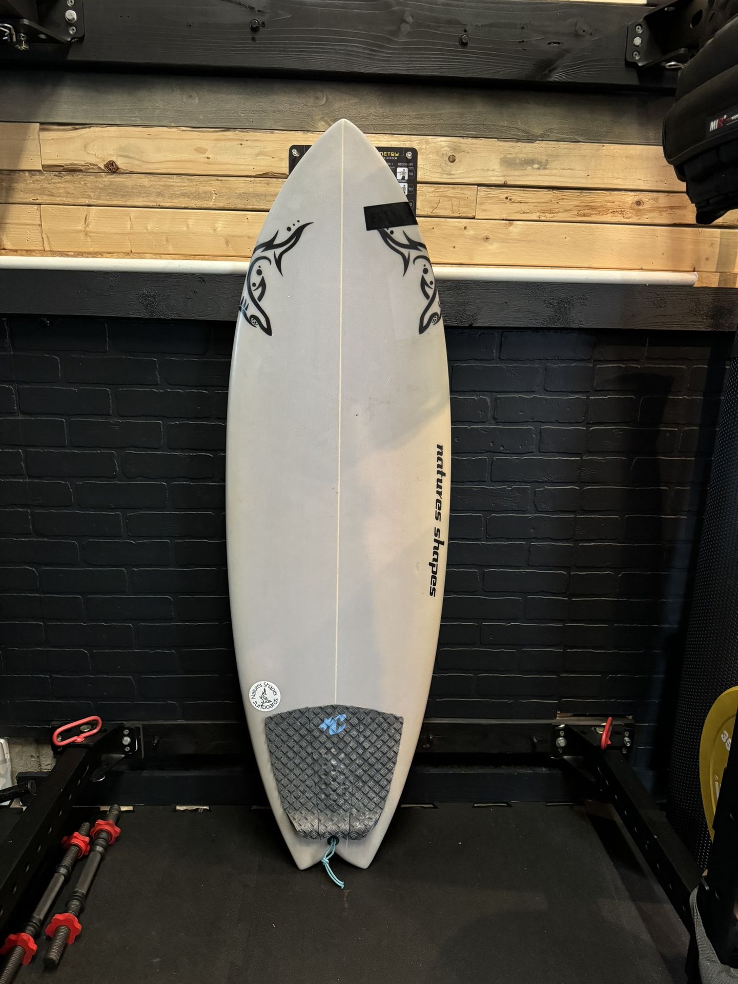 5’1” Nature Shapes Fish