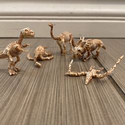 Small Bone Dinosaur 
