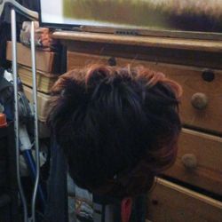Short Hair Wig .