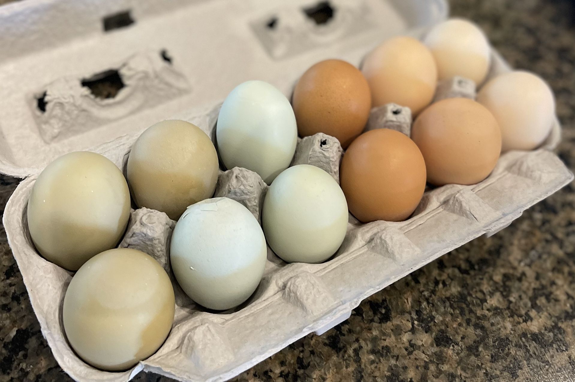 Free Range Organic Eggs