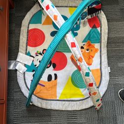 Baby Einstein Play Mat