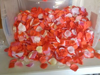 Coral mix rose petals