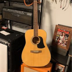 Aria AGP001N Acoustic 