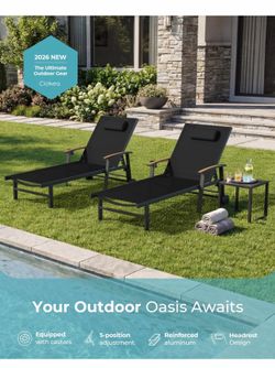 2 lounge patio chair new in box $140