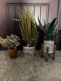 Plants
