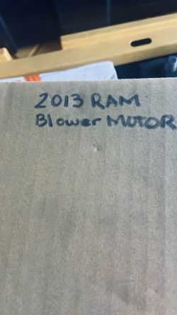 Blower motor
