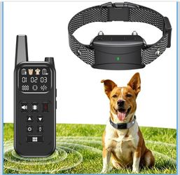 Electric Fence for Dogs