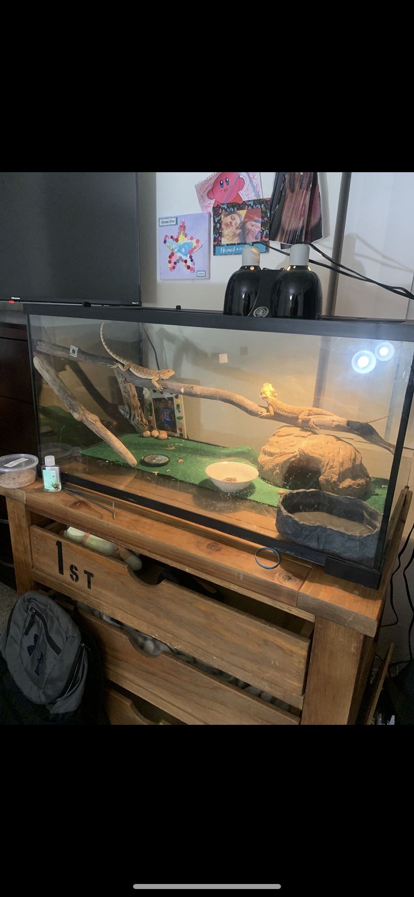 40 Gallon Reptile Tank