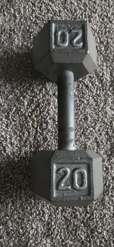 20lb Dumbbell