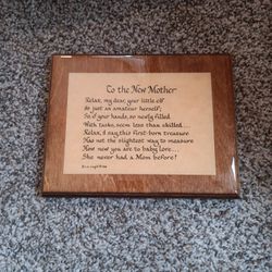 To The New Mother 